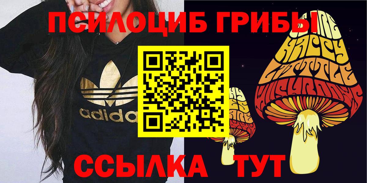 Галлюциногенные грибы Cubensis Ессентуки