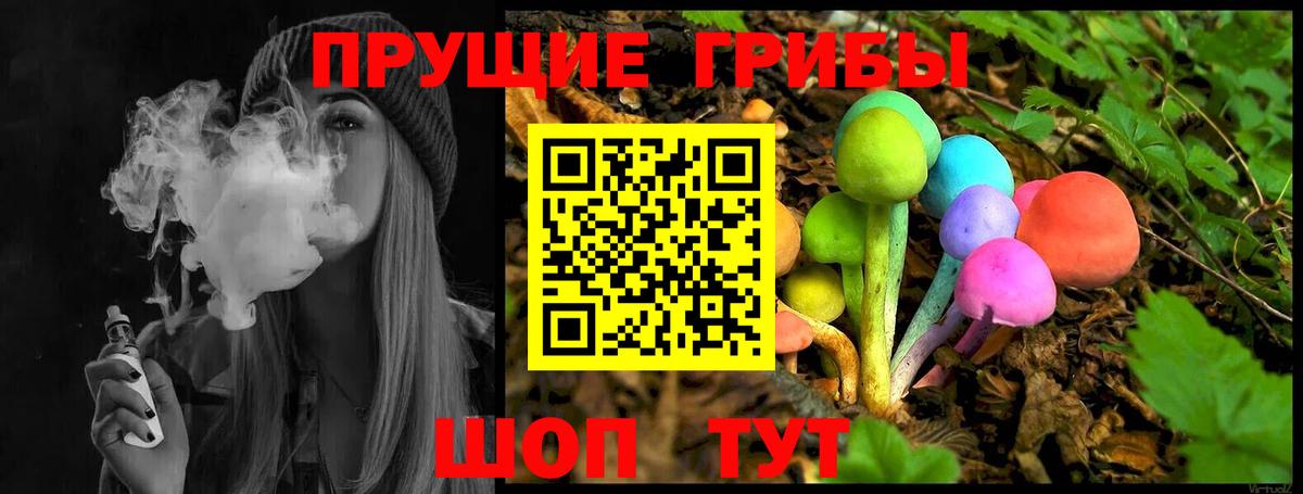 Ессентуки  Галлюциногенные грибы Psilocybe  Вход с VPN 